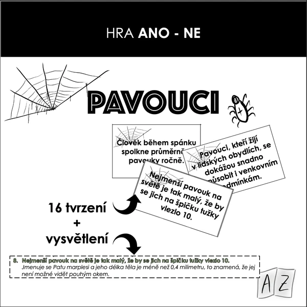Hra ANO/NE - pavouci