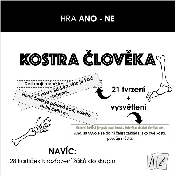 Hra ANO/NE - kostra