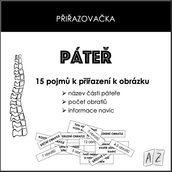 Přiřazovačka - páteř