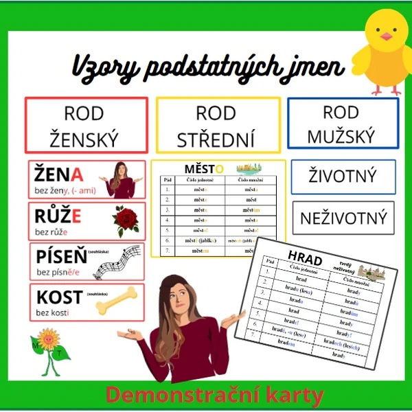 Vzory podstatných jmen - demonstrační karty