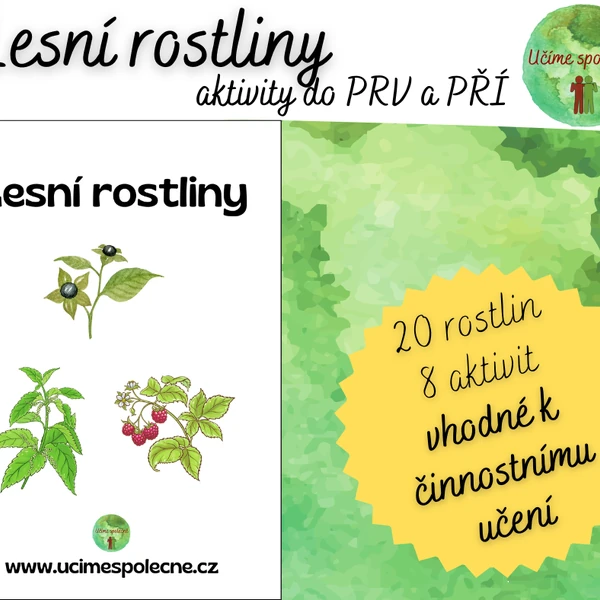 Lesní rostliny
