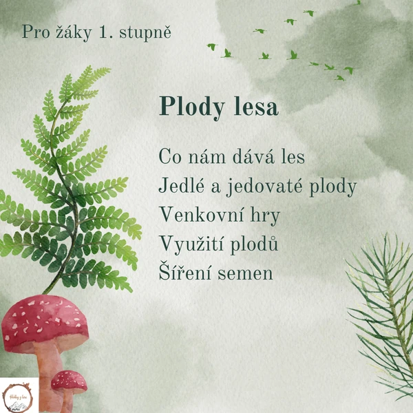 Plody lesa