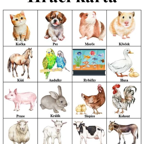 Bingo - domácí zvířata
