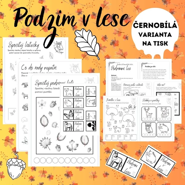 Podzim v lese