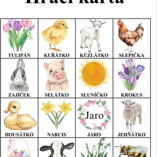 Bingo - Jaro