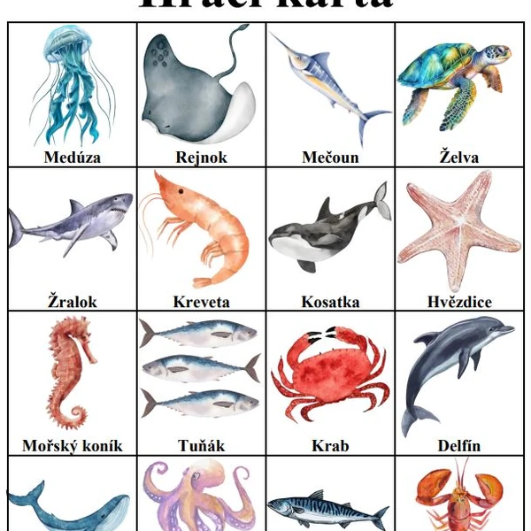 Bingo - Mořská zvířátka