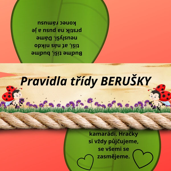 Pravidla Berušky