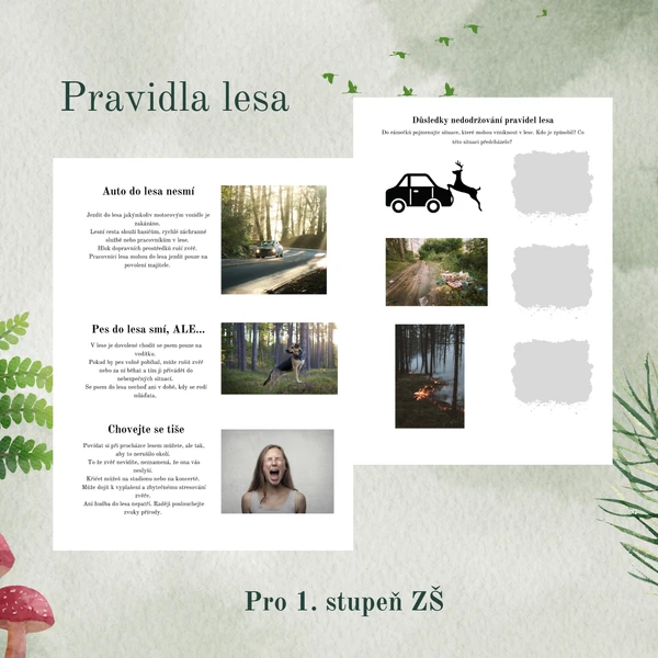 Pravidla lesa