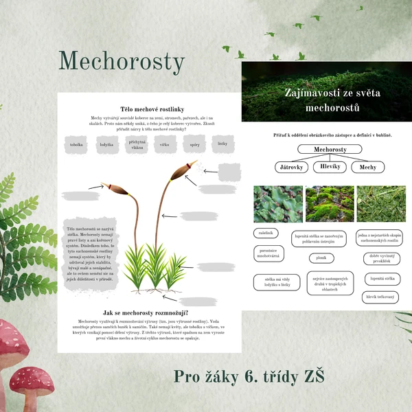 Mechorosty