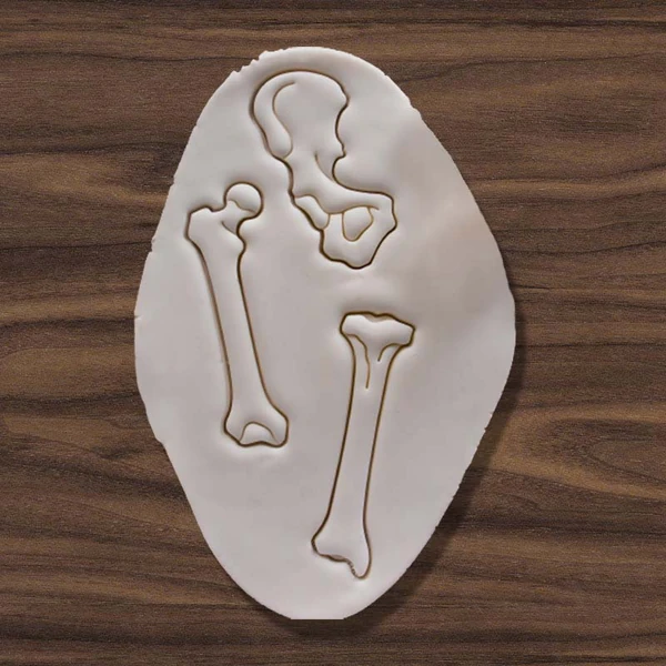 3D modely vykrajovátek na 3D tisk - stehenní kost, holenní kost, boky