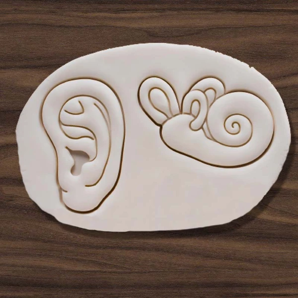 3D modely vykrajovátek na 3D tisk - Ucho, Ucho vnitřní