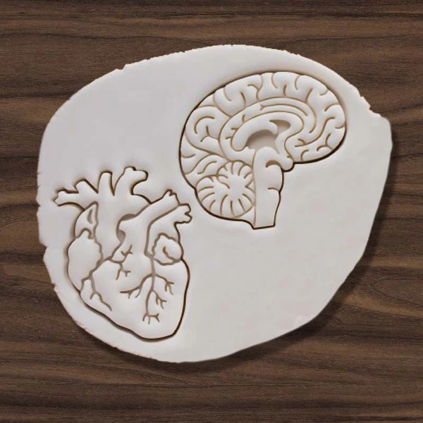 3D modely vykrajovátek na 3D tisk - srdce, mozek