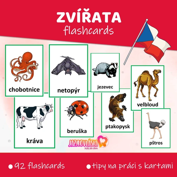 Zvířata flashcards