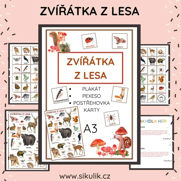 ZVÍŘÁTKA Z LESA plakát, pexeso, postřehovka, karty A3