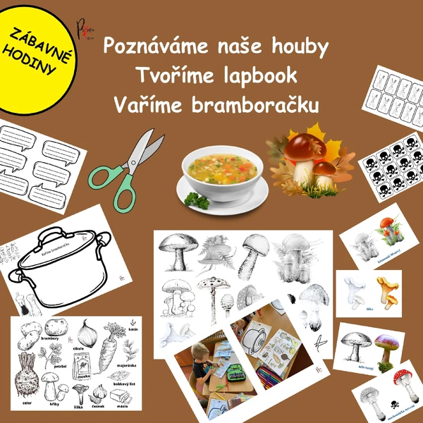 Poznáváme naše houby - Tvoříme lapbook - Vaříme bramboračku