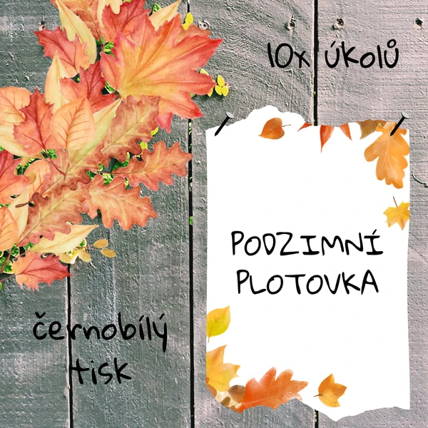 Podzimní plotovka