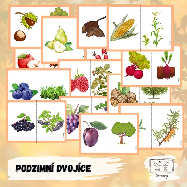 Podzimní plody- dvojice