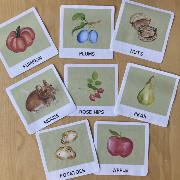 Autumn Garden flash cards