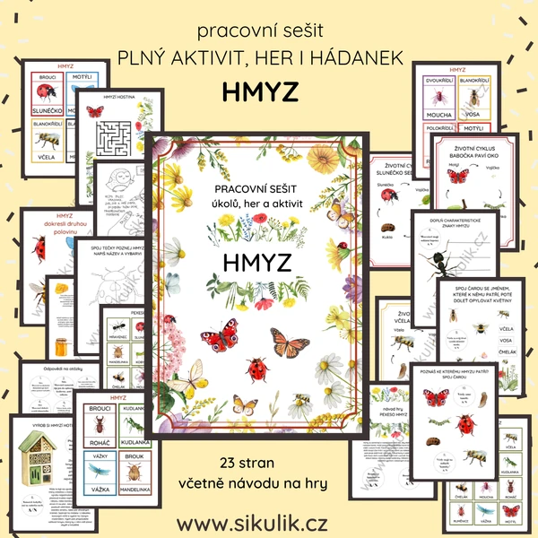 Hmyz pracovní sešit úkolů aktivit a her