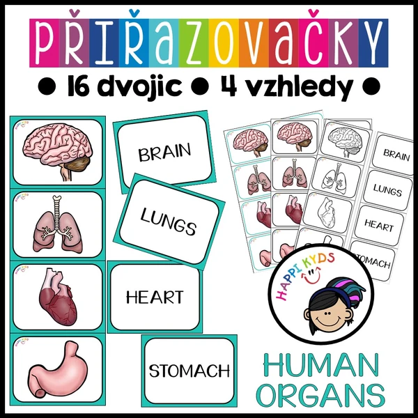 Přiřazovačky - HUMAN ORGANS