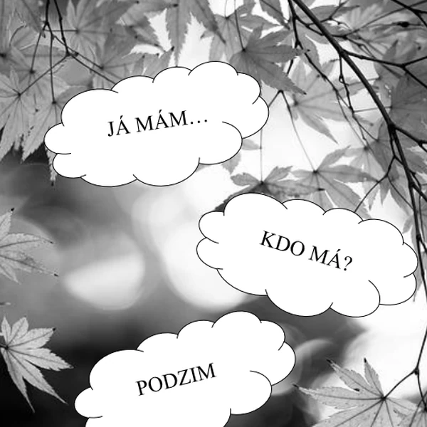 Já mám, kdo má - PODZIM ČERNOBÍLÝ 