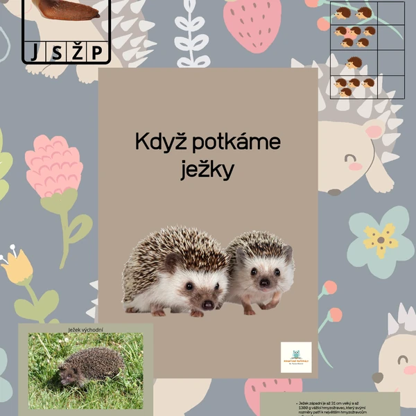 Když potkáme ježky 