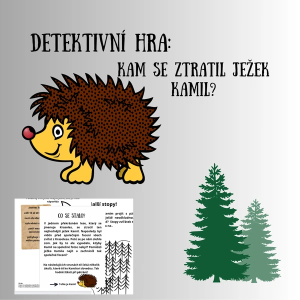 Detektivka:Kam se ztratil ježek Kamil? Pro 3.-4. třídu