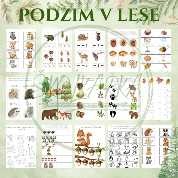 PODZIM V LESE