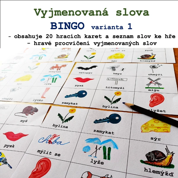 Bingo - Vyjmenovaná slova 1