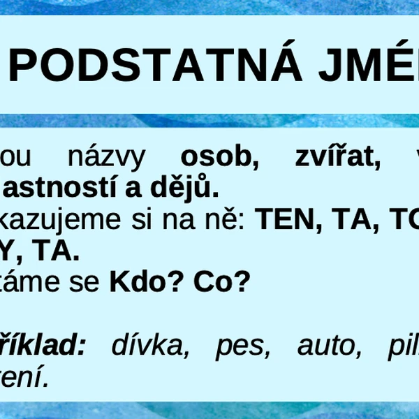 Slovní druhy + Přehledová karta
