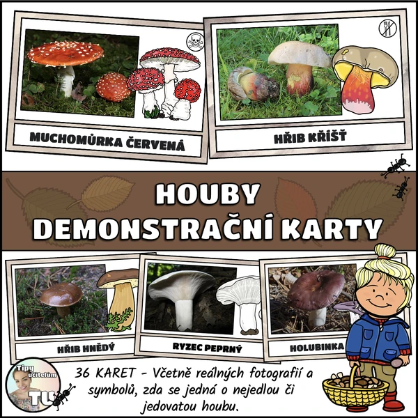 Houby - demonstrační karty