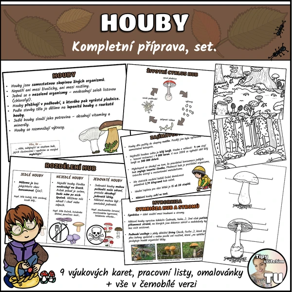 Houby - kompletní příprava, set