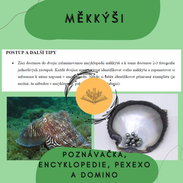 Měkkýši – encyklopedie, poznávačka, pexeso a domino