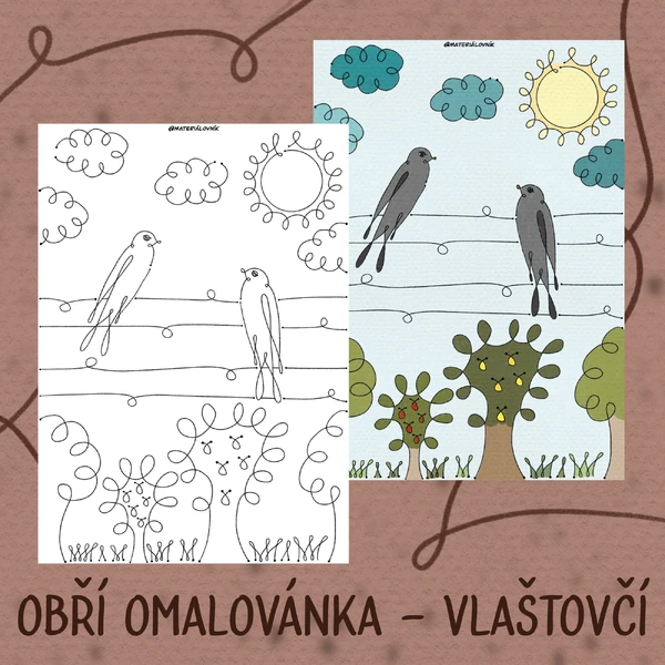 Obří jednotažková omalovánka - Vlaštovčí