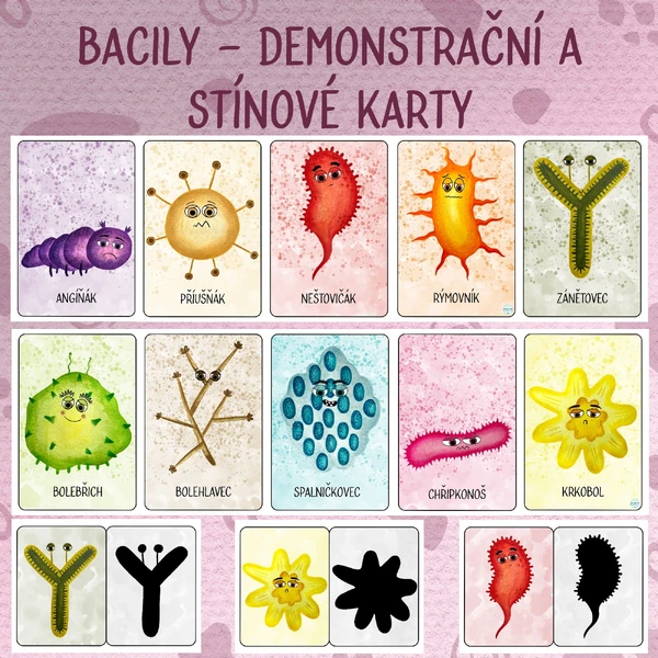 Bacily - Demonstrační a stínové karty