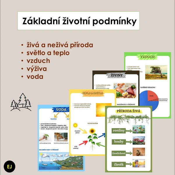 Základní životní podmínky