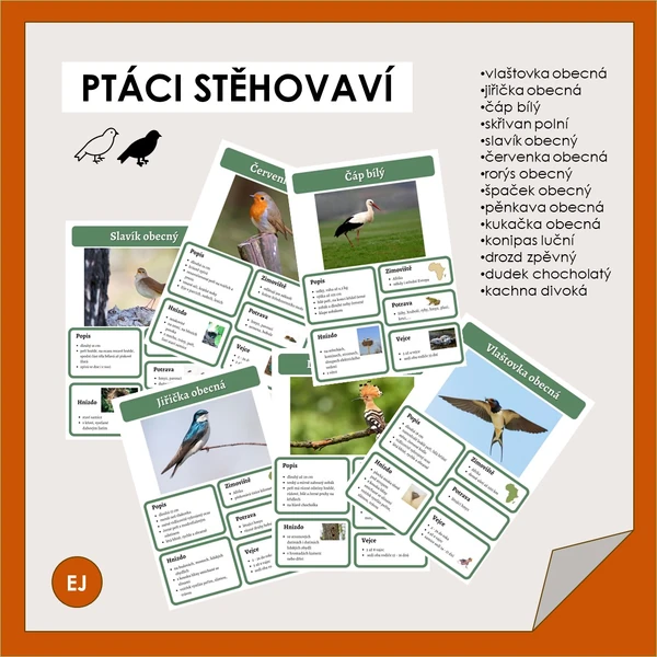 Ptáci stěhovaví