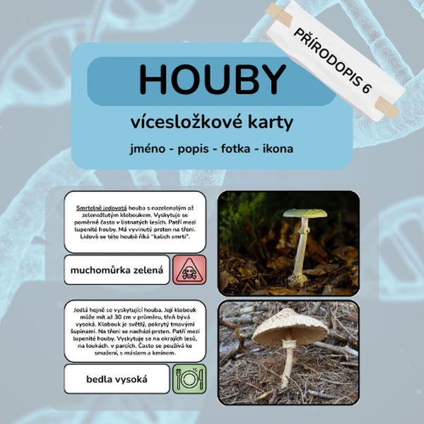 Houby - vícesložkové karty