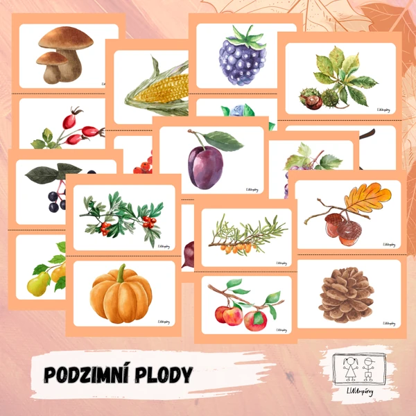 Obrázky podzimních plodů