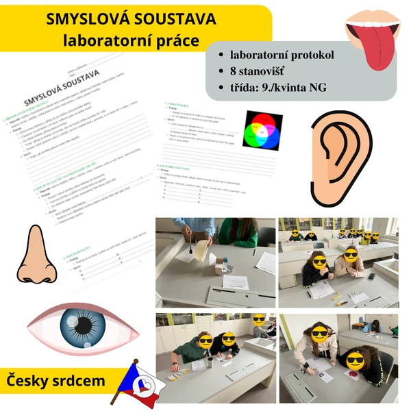 Smyslová soustava – laboratorní práce