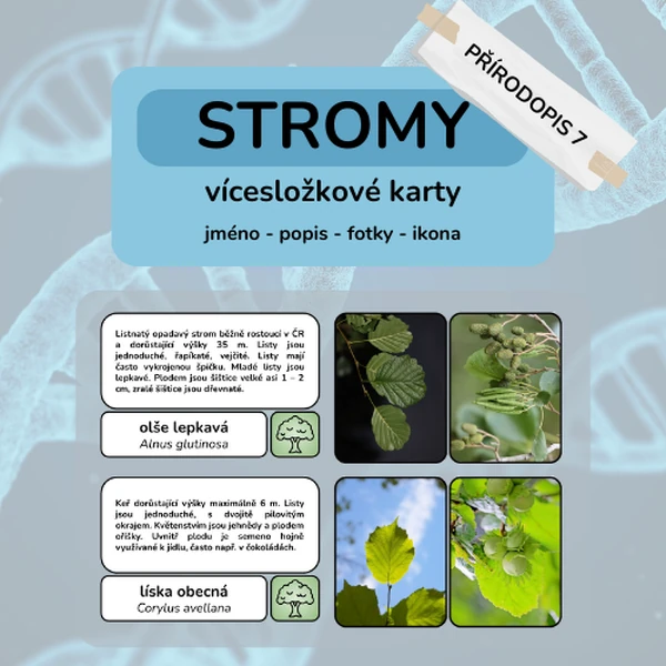 Stromy - vícesložkové karty