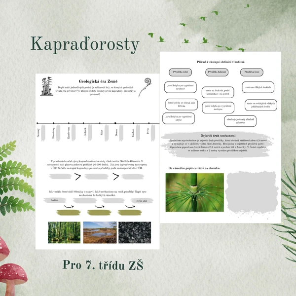Kapraďorosty - plavuně, přesličky, kapradiny