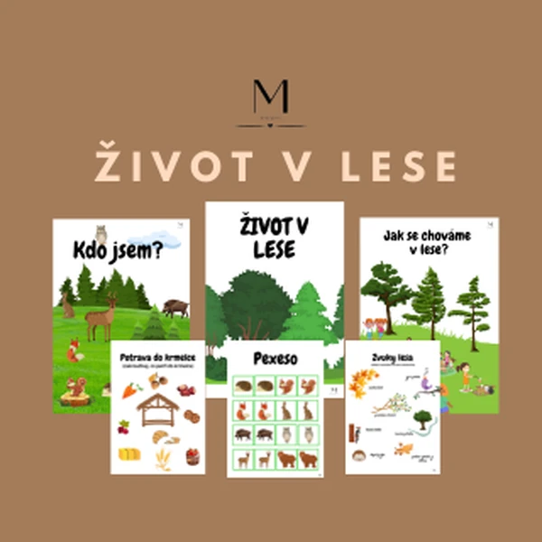 Život v lese