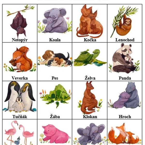 Bingo - zvířátka 
