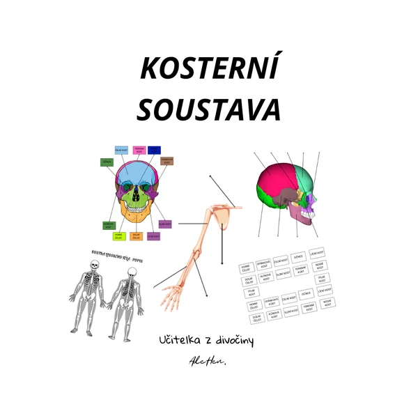 Barevná kosterní soustava - stavba 