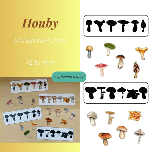 Houby - stíny