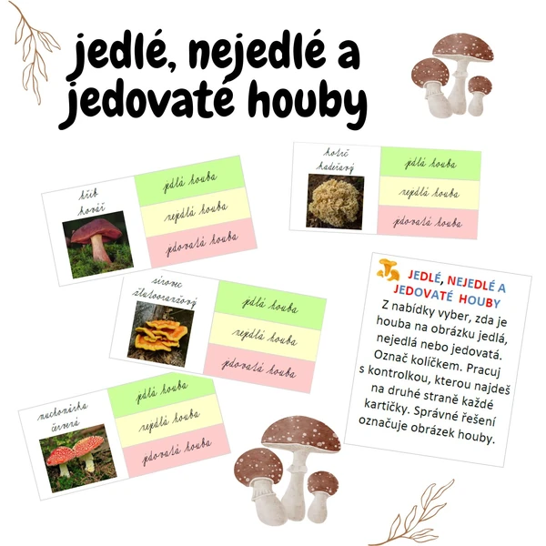 jedlé, nejedlé a jedovaté houby