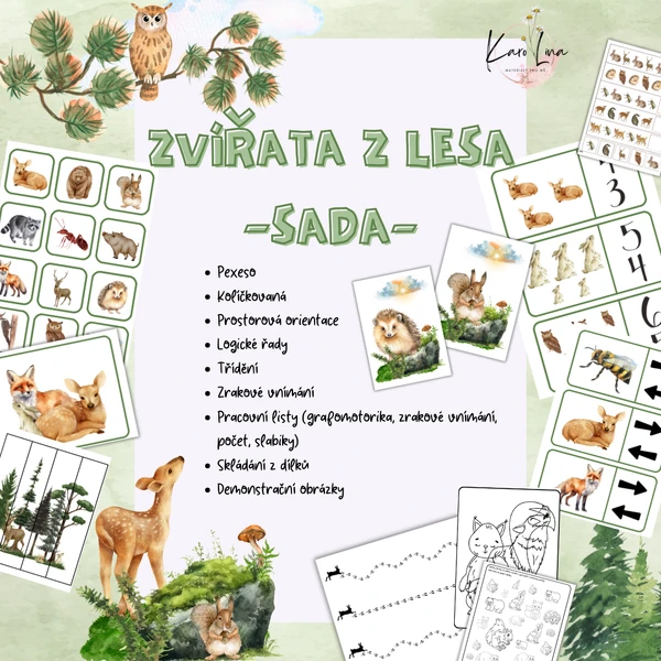 SADA - ZVÍŘATA Z LESA (lesní zvěř)