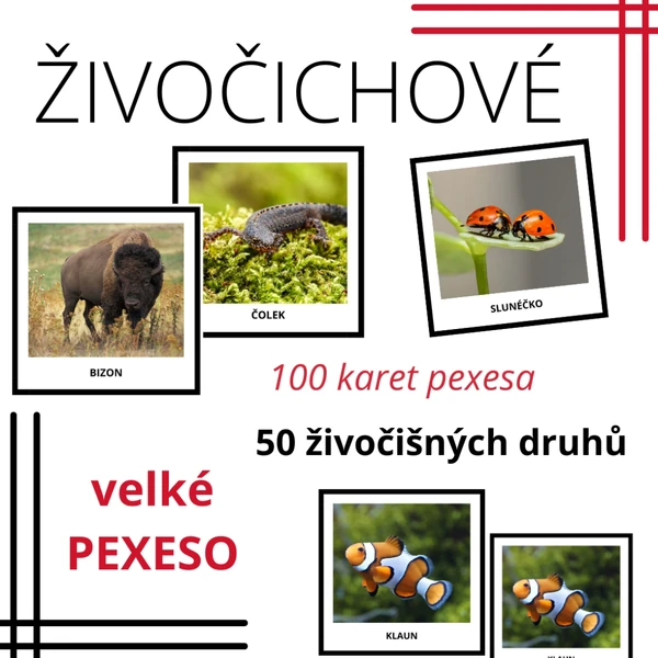 ŽIVOČICHOVÉ - pexeso (50 druhů)