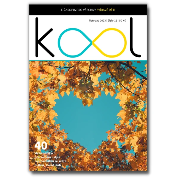 KOOL 11/23
